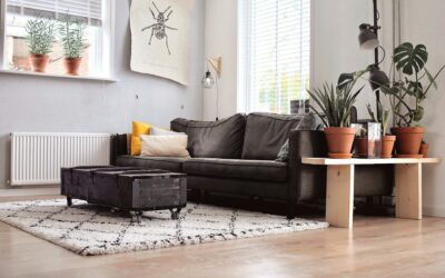 Enhancing Indoor Air Quality with Professional Carpet Cleaning Services