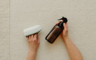 DIY vs. Expert Carpet Cleaning: Why Professional Service Makes a Difference