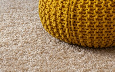 Master the Language of Carpet Care: A Glossary for San Antonio Homeowners