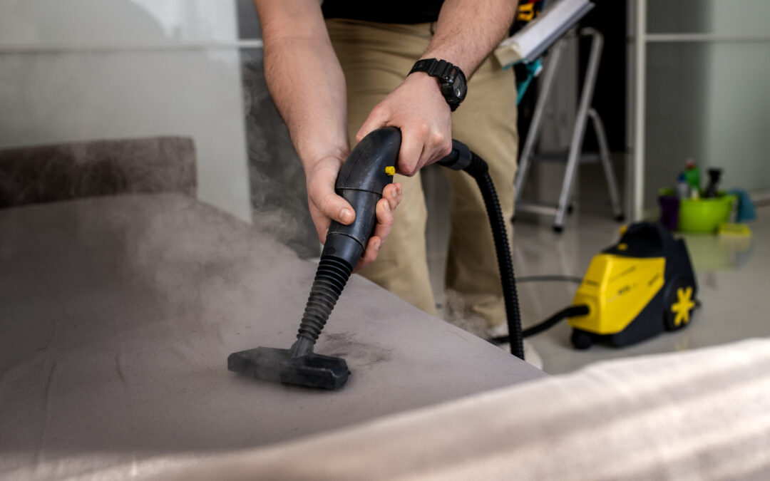 Reviving Your Sofas: A Comprehensive Guide to Sofa Steam Cleaning