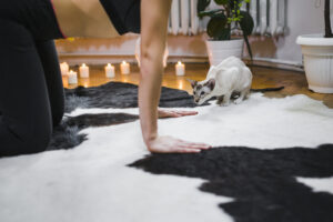 Cat resting near woman exercising at home, representing pet-friendly cleaning environment by Alamo Steam Team in San Antonio, TX