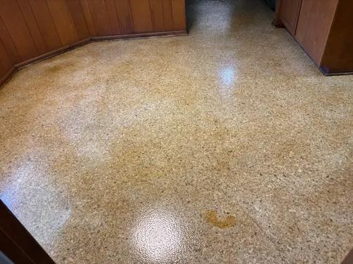 floor-restoration - Alamo Steam Team