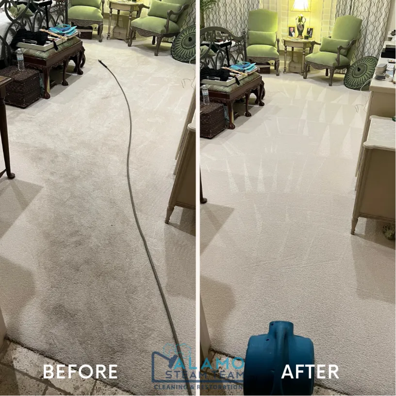 Before and After -Carpet Cleaning 1