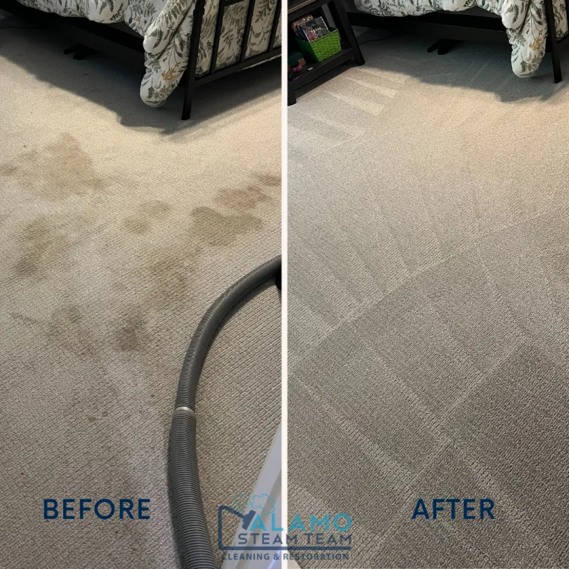 Before and After Carpet - Pet Treatment 1