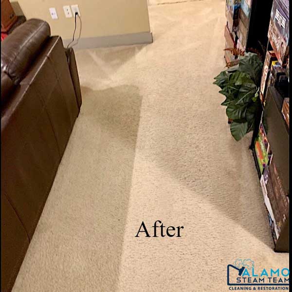 Carpet Cleaning Services Local Cleaner San Antonio