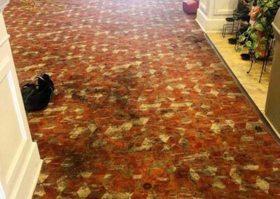 Commercial Carpet Cleaning - Before