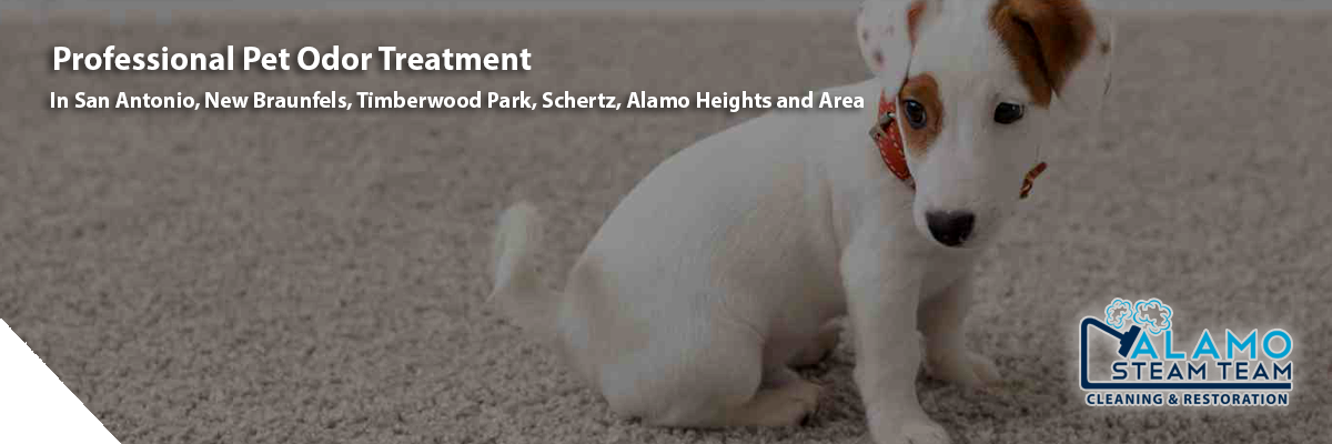 Alamo Steam Team - Pet Odor Treatment